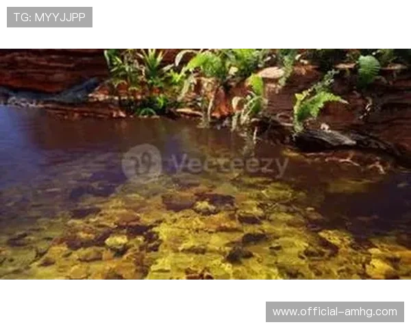 皇冠集团网址注册流程详解，指导新用户快速完成注册并开始使用平台