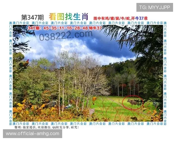 澳门财神官网平台官方授权，保障玩家资金安全与游戏公平，打造值得信赖的娱乐环境